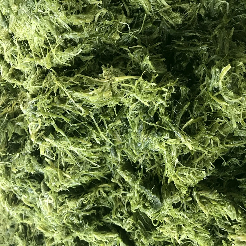 tuzlu nori
